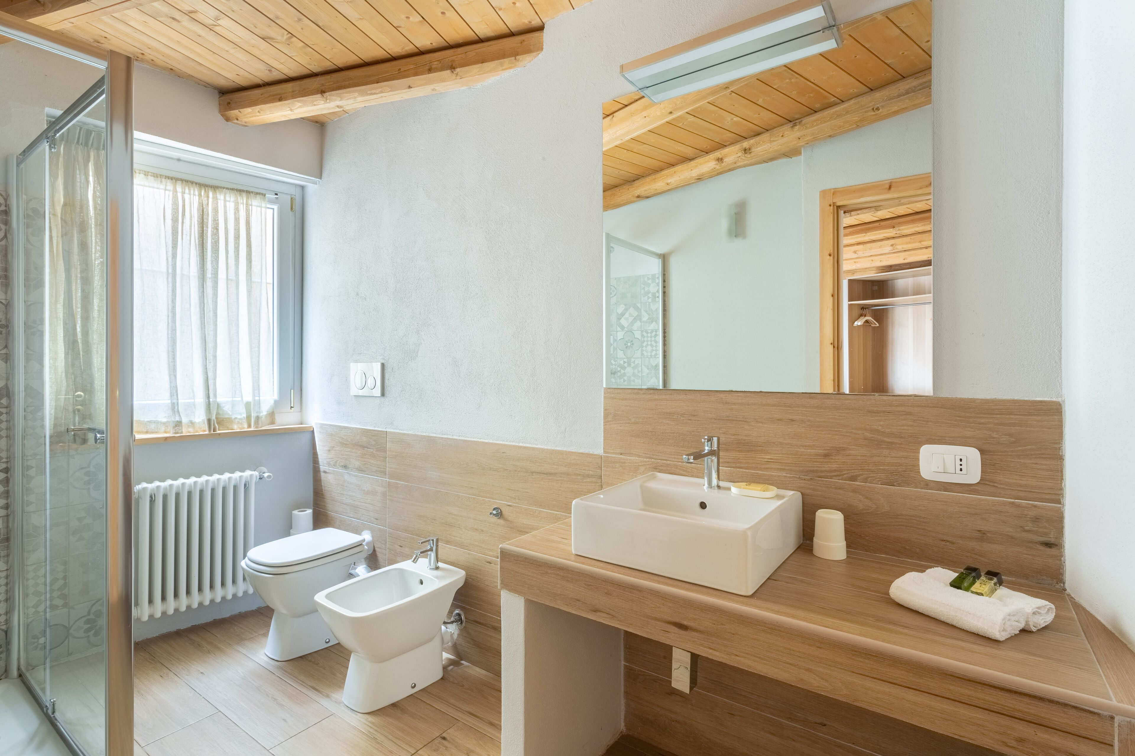Shower, hair dryer, bidet, towels