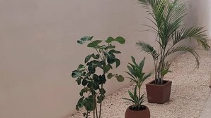 Ein Flur mit Topfpflanzen und einer beigefarbenen Wand.