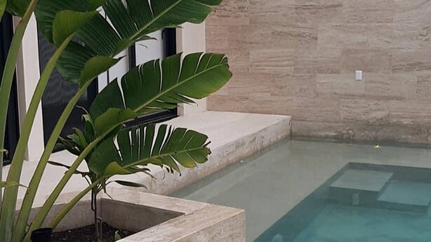 Ein Pool mit einer gefliesten Kante, umgeben von einem Pflanzkübel mit großen, grünen Blättern, und eine Steinmauer im Hintergrund.