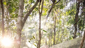 Room - Villa Calakmul Resort Pool AC Fast Internet (Bacalar)