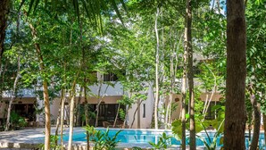 Villa - Villa Ek Balam Resort Pool AC Fast Internet (Bacalar)