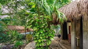 House, Smoking | 2 bedrooms, Internet - Casa Catarina Private House Near Bacalar Lagoon (Bacalar)