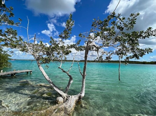 Apartment | 1 bedroom, Internet - Luxury Apartment Right Next to the Lagoon (Bacalar)