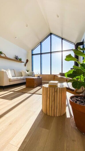 Smart TV, chimenea y estéreo 