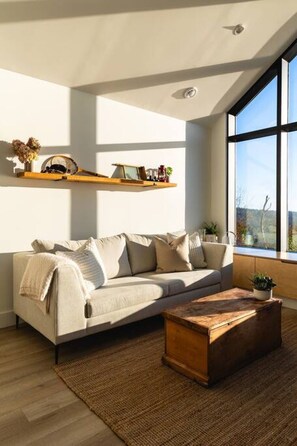 تلفزيون، مدفأة، ستيريو