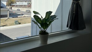 A window with a view of a mountain, a potted plant, and a curtain. - Cozy, Modern home in Lindon. (North)