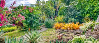 Lazy parrots' luxury apartments #3: pool✓ beach path ✓AC ✓