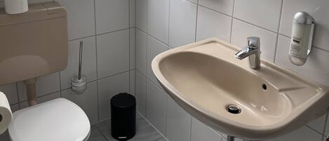 A modern bathroom with a skylight, toilet, sink, and a small shelf with toiletries.
