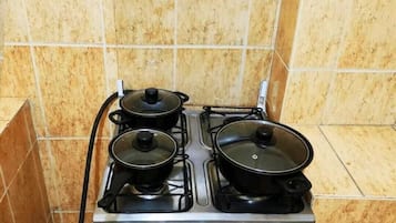 Oven, stovetop, dishwasher