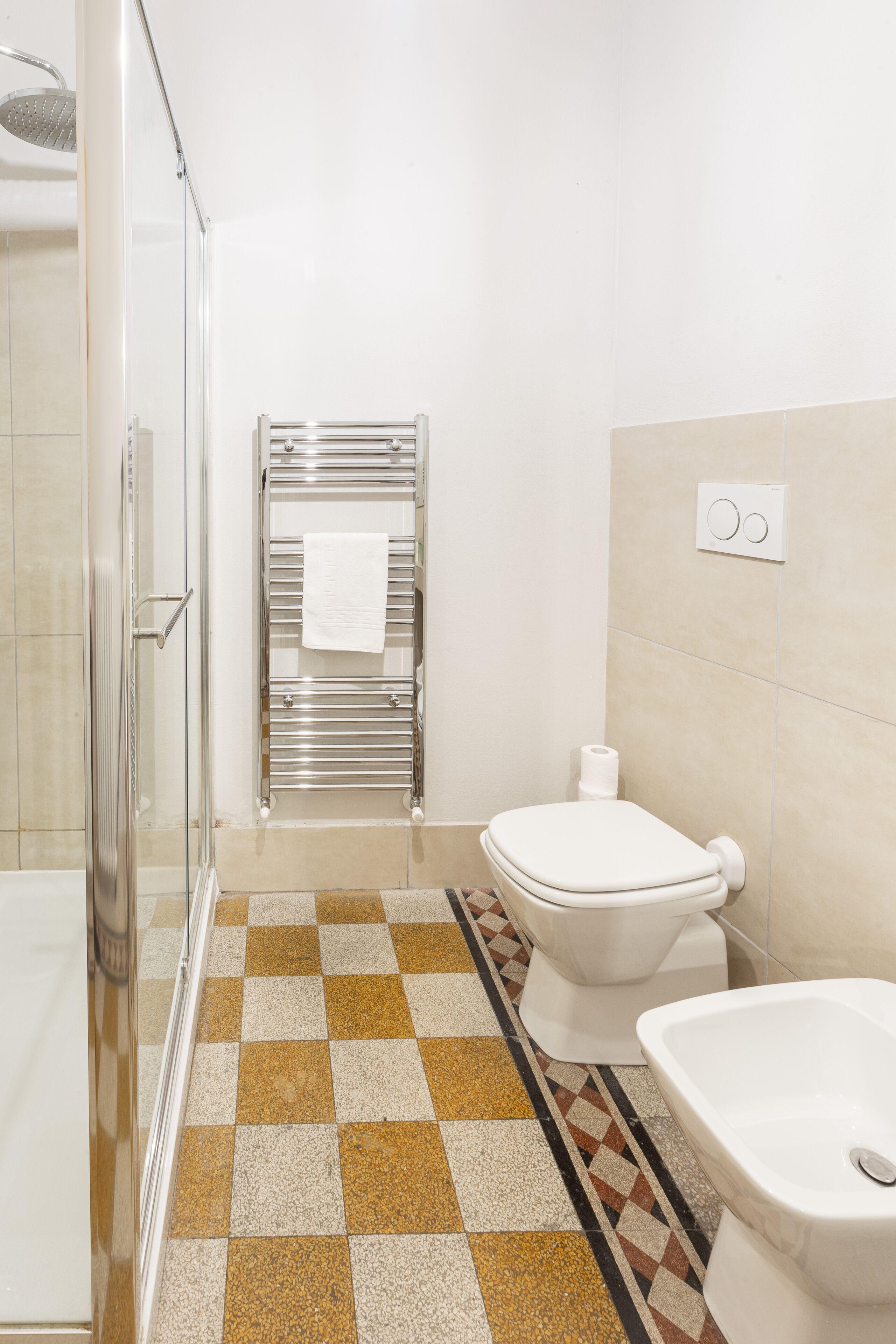 Regadera, secadora de cabello, bidet, toallas 
