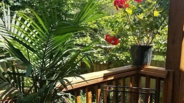 Un patio in legno con una sedia in metallo e un vaso con fiori rossi.