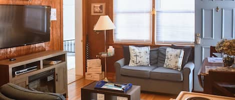 TV, fireplace, books