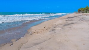 A beach with clear blue water, sandy shore, and palm trees. - Waikiki Beach Hostel (Dibulla)