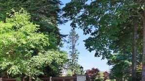 A gated driveway leading to a residential area with a stone wall and wooden fence. - Modern 2BR oceanfront apartment for sun, ski or mountain biking! (Courtenay)