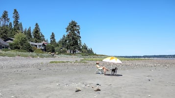 Sun-loungers, beach towels