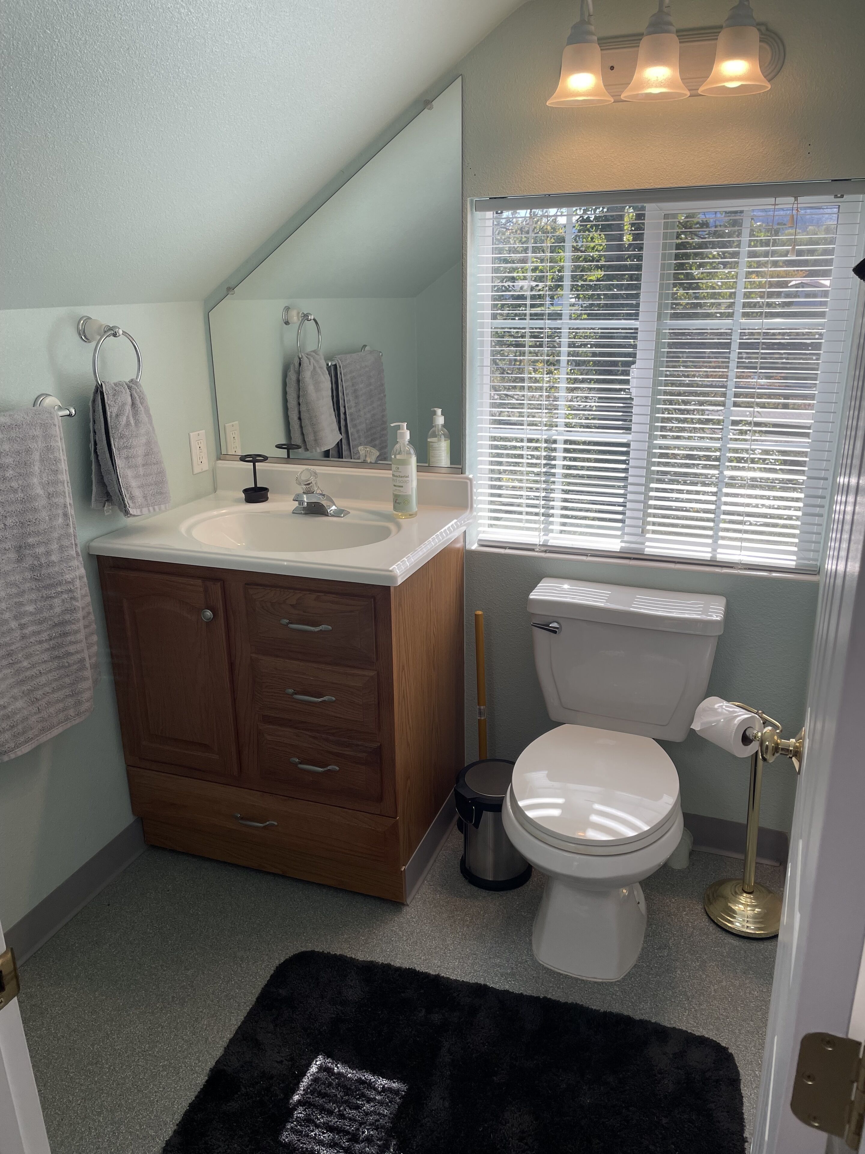 Hair dryer, towels, toilet paper
