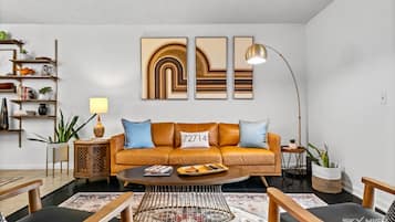 Smart TV, fireplace, books