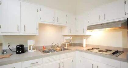 Charming Mid-Century Apartment in Midtown