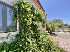 Overnatningsstedets område