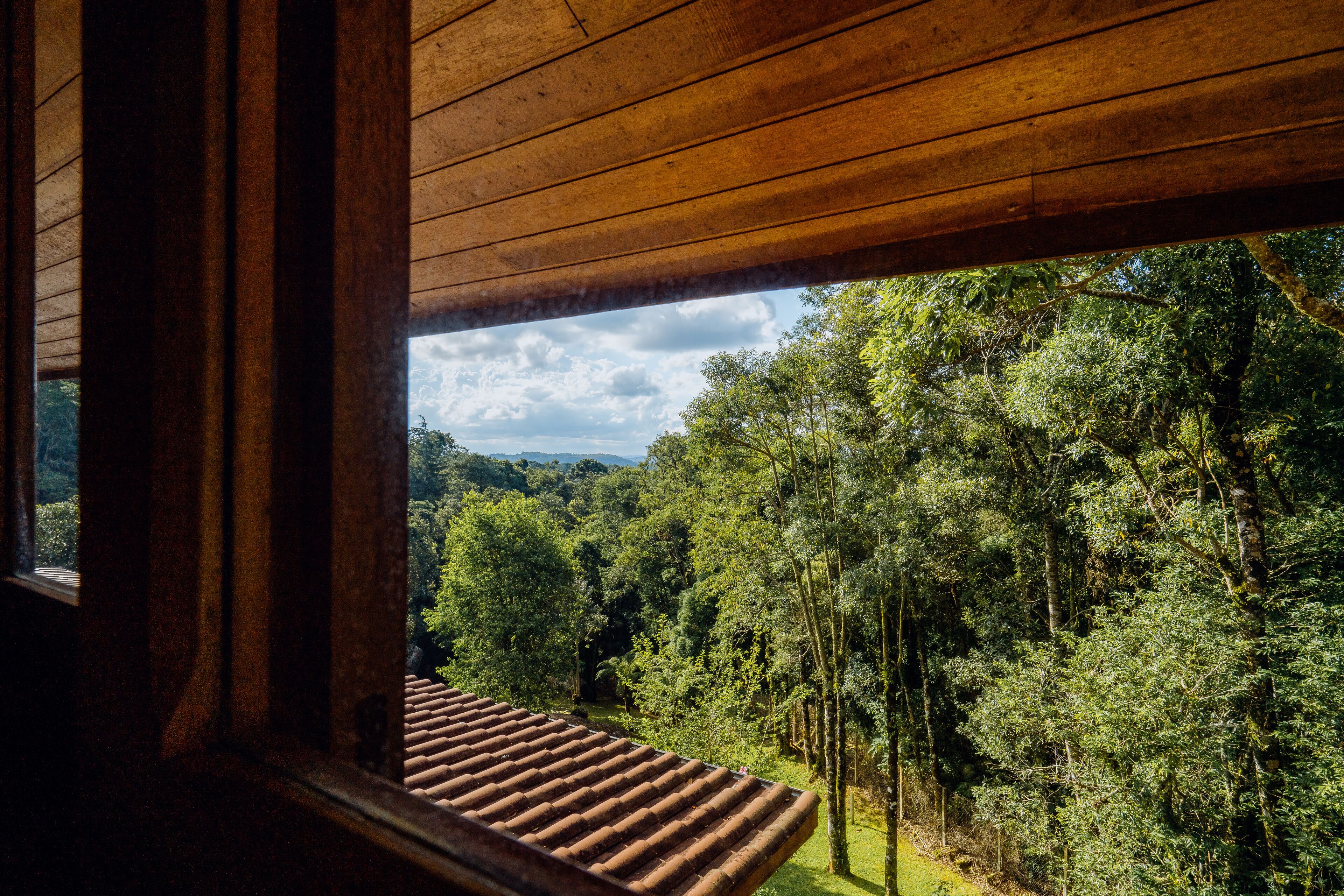 Vista dalla finestra con soffitto in legno, su una fitta foresta con alberi alti e cielo sereno.