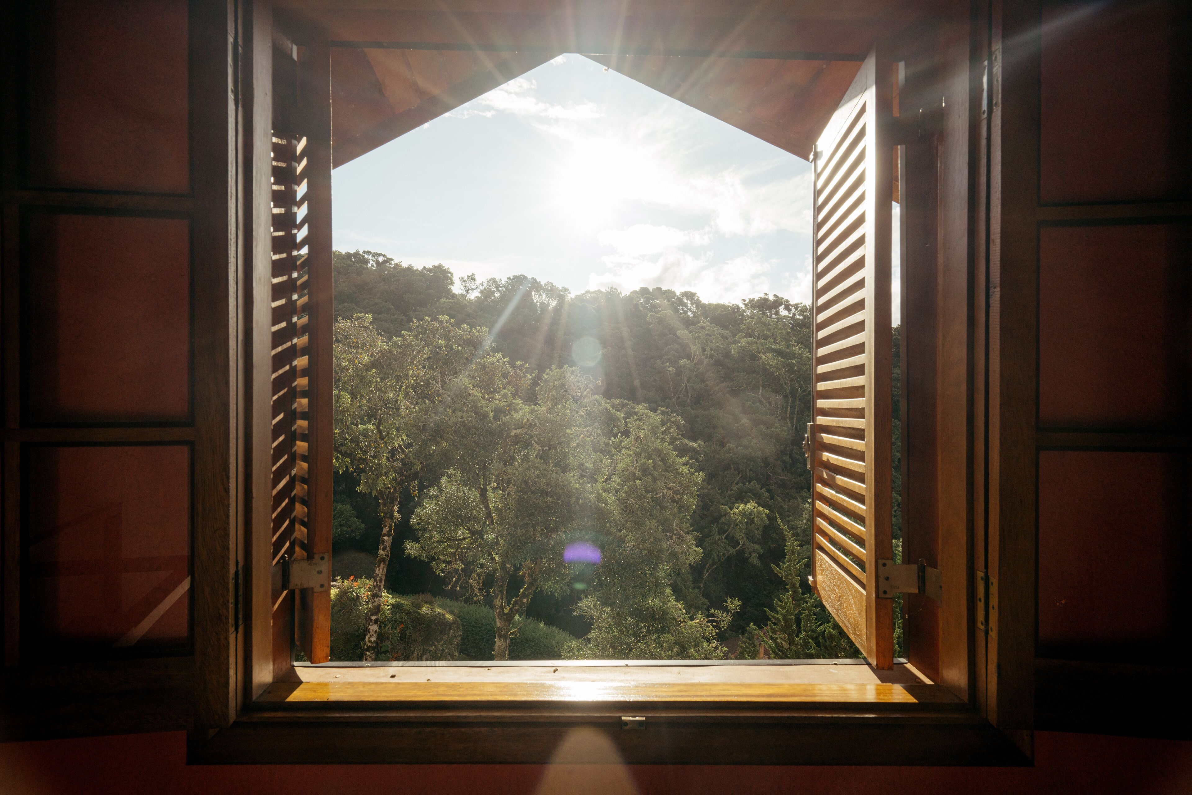 Suíte superior | 1 quarto, roupas de cama de algodão egípcio, roupas de cama premium