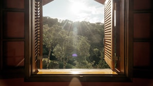 Una ventana abierta con vista a un paisaje boscoso.