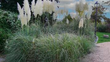 DĂ©tail de lâextĂ©rieur