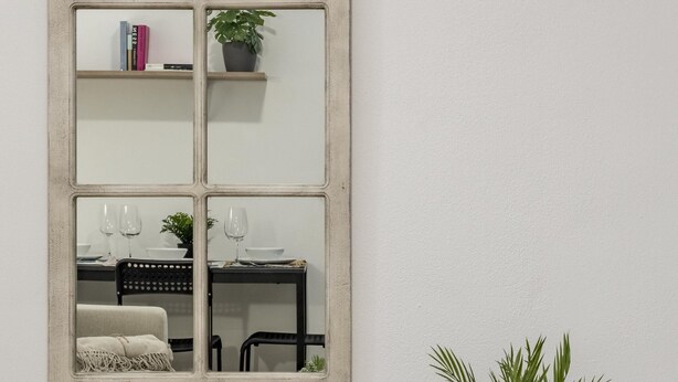 Ein Zimmer mit einem großen Spiegel, der einen Essbereich, ein Bücherregal und einen Blumentopf reflektiert.