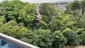 A lush green landscape with dense trees and a distant view of buildings.