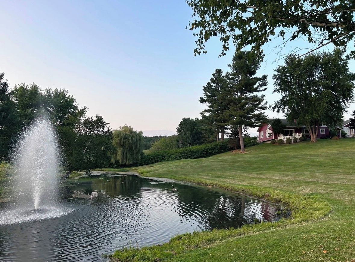 A tranquil pond with a fountain, surrounded by well-maintained grass and trees, with a house in the background.