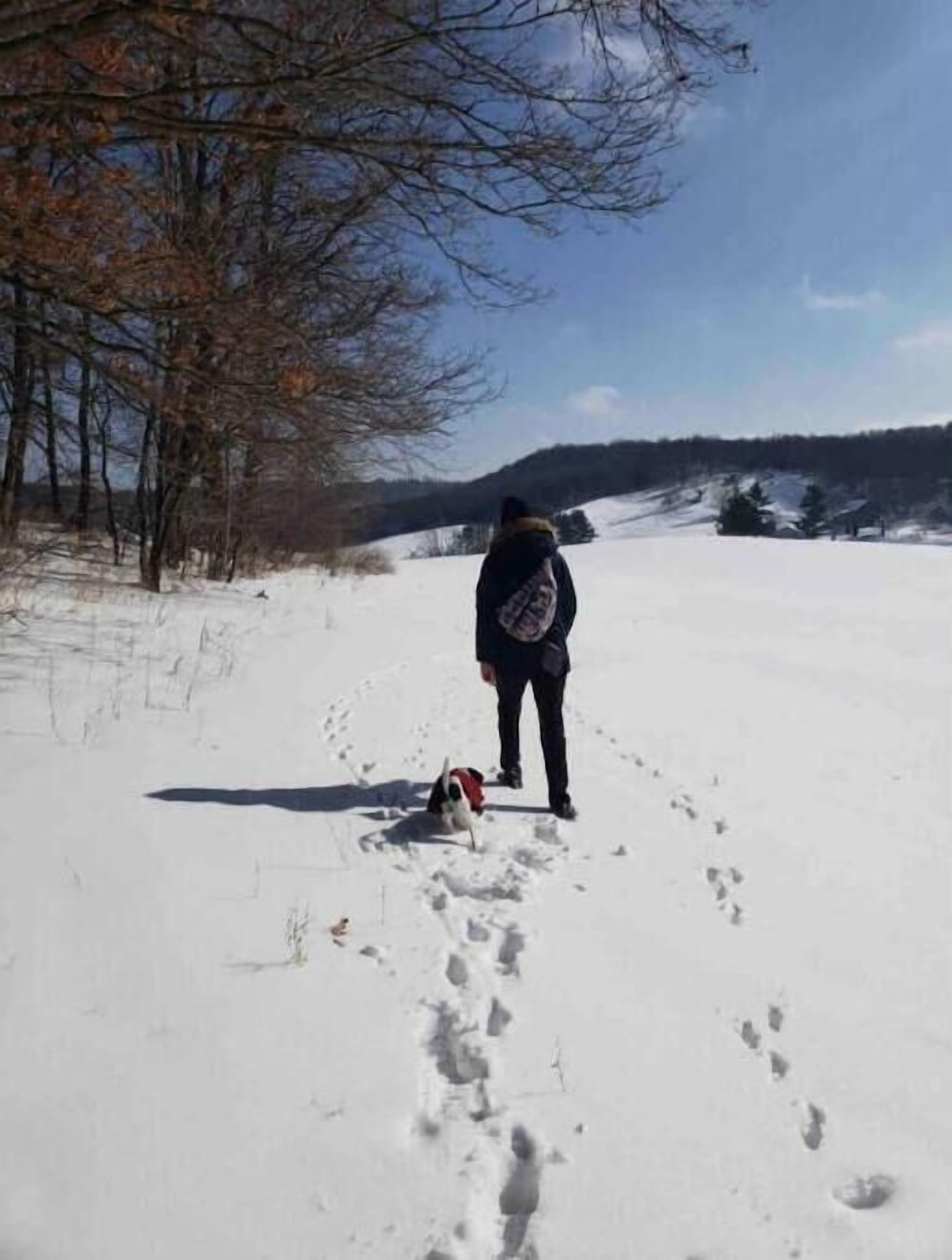 A person walking on a snow-covered path with footprints leading towards a dog.