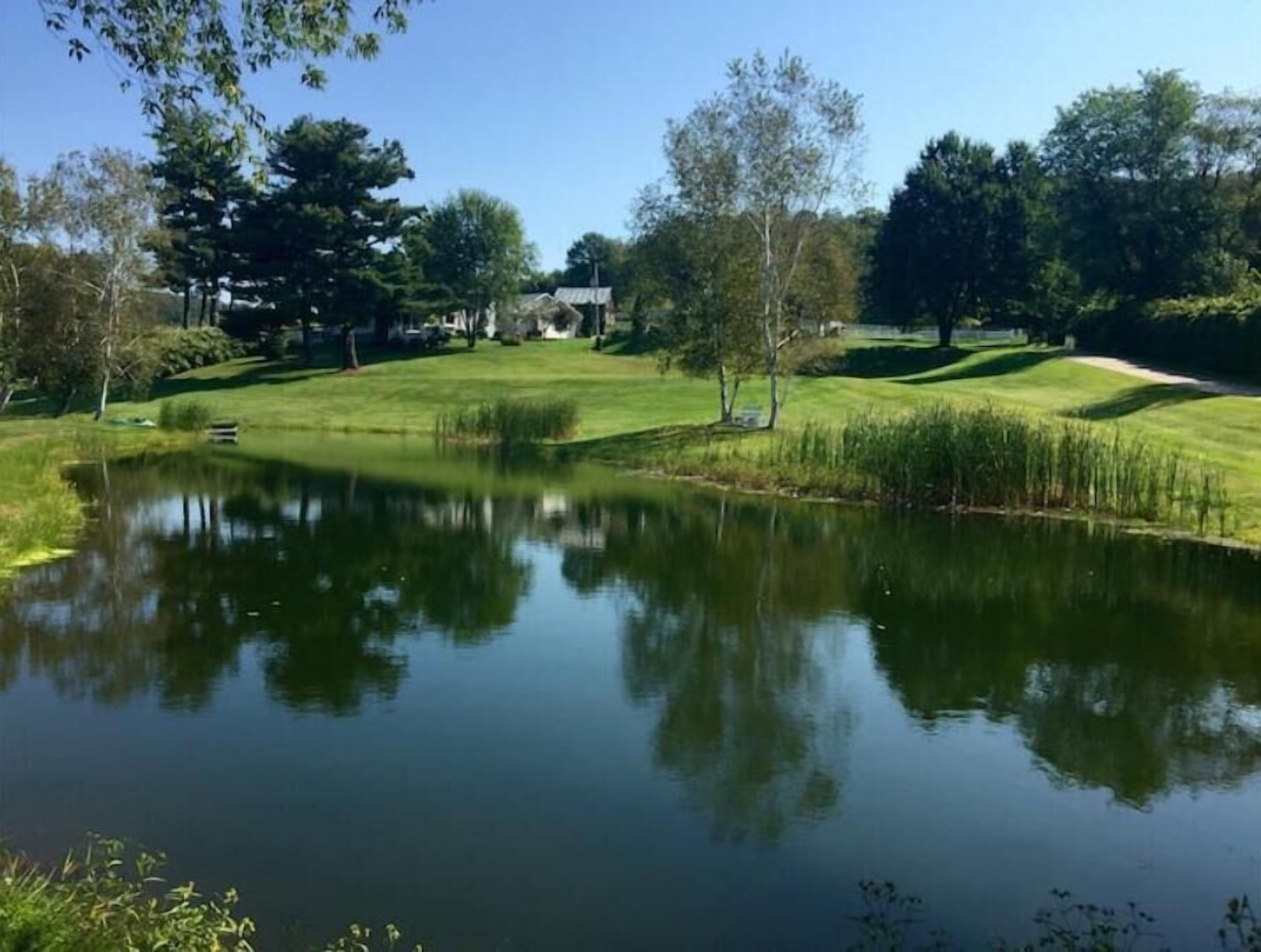 A serene landscape with a pond, grassy areas, and trees.