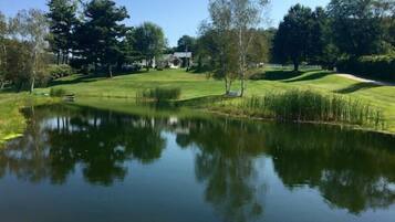 A serene landscape with a pond, grassy areas, and trees.