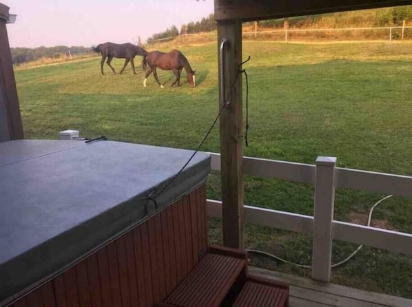 Ulkoalueet