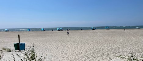 海滩