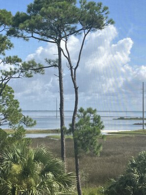 Vlak bij het strand, ligstoelen