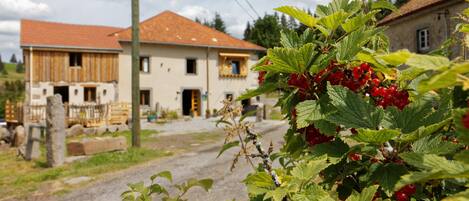 Pemandangan dari properti