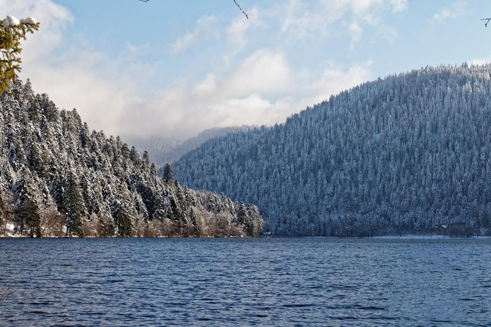 A serene lake surrounded by snow-covered forests.