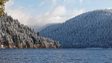 A serene lake surrounded by snow-covered forests.