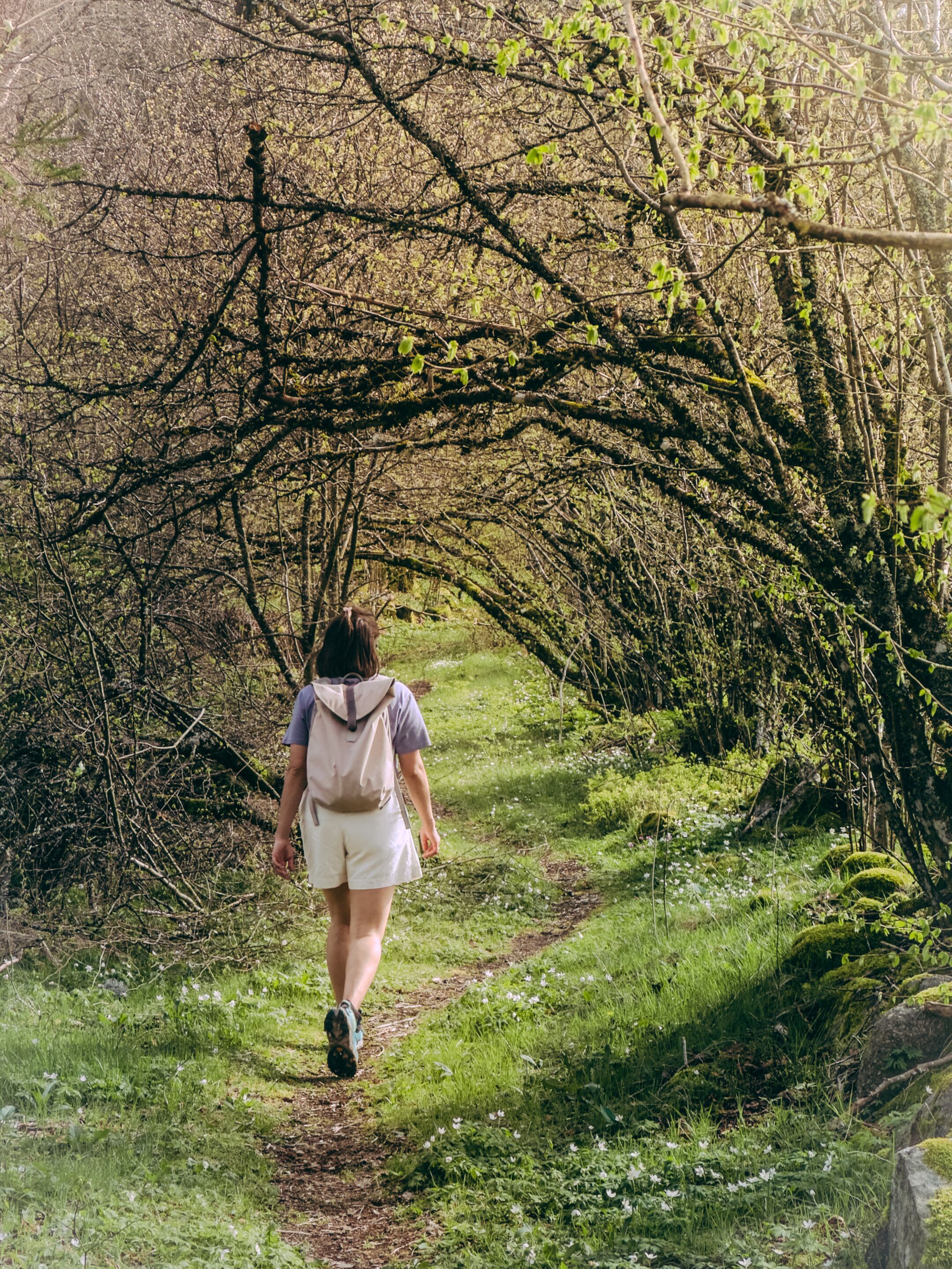 A person walking on a path surrounded by trees and greenery.