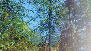 A wooden cabin with a staircase leading up to a porch, surrounded by trees and a clear sky. - Christy's Cottage, Waterfront w/slide & Ice Shanty (Kalispell)