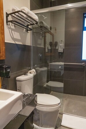 Suite – executive, 1 soverom | Bad
