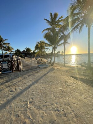 Beach - Studio 25 m2 bed and sofa bed with washing machine sci joela manganao (Saint-François)