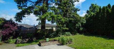 A residential backyard with a large tree, a raised garden bed, and a house in the background.