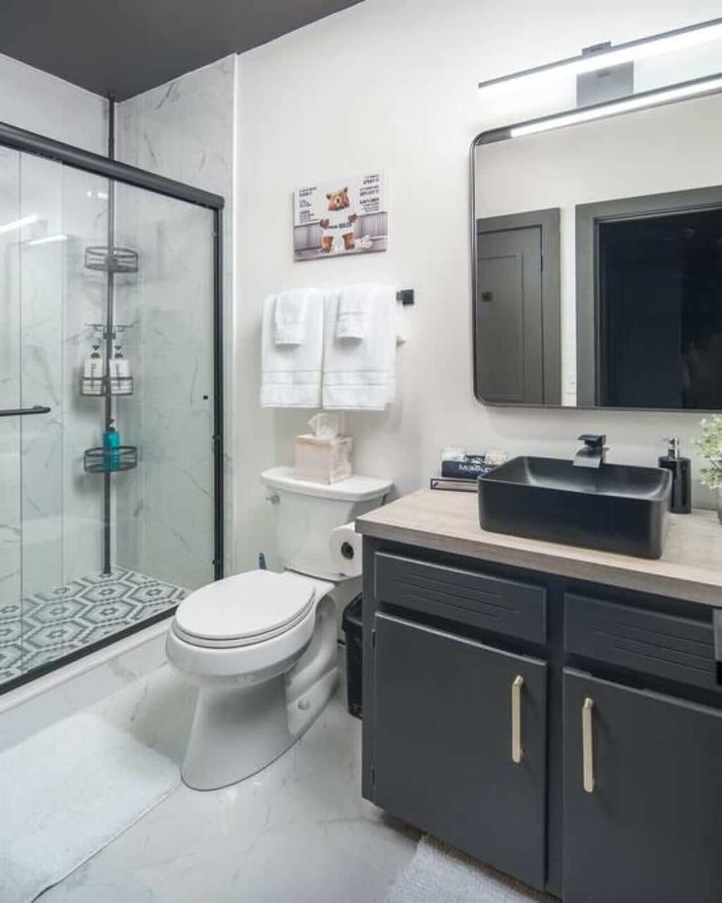 Shower, hair dryer, shampoo