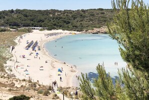 Serviettes de plage