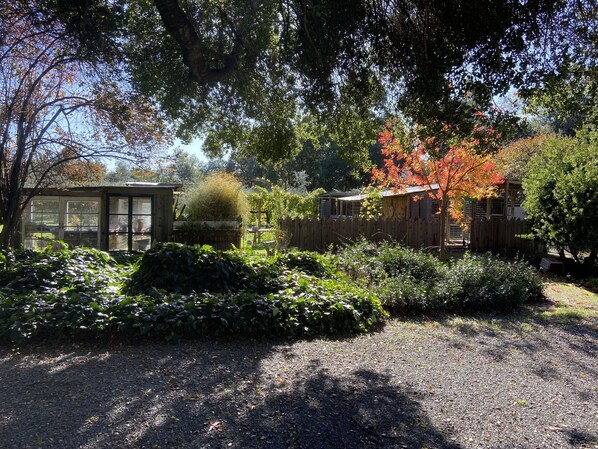 Property grounds - Wine Country Apartment on the Farm (Cloverdale)