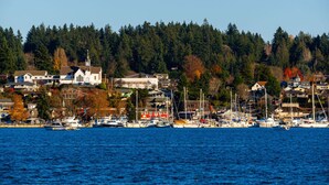 A coastal town with a marina, houses, and a church.