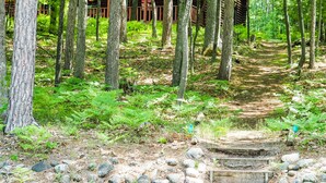 Une zone boisée avec une cabane en bois en arrière-plan.