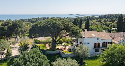Gorgeous home in Rovinj with WiFi